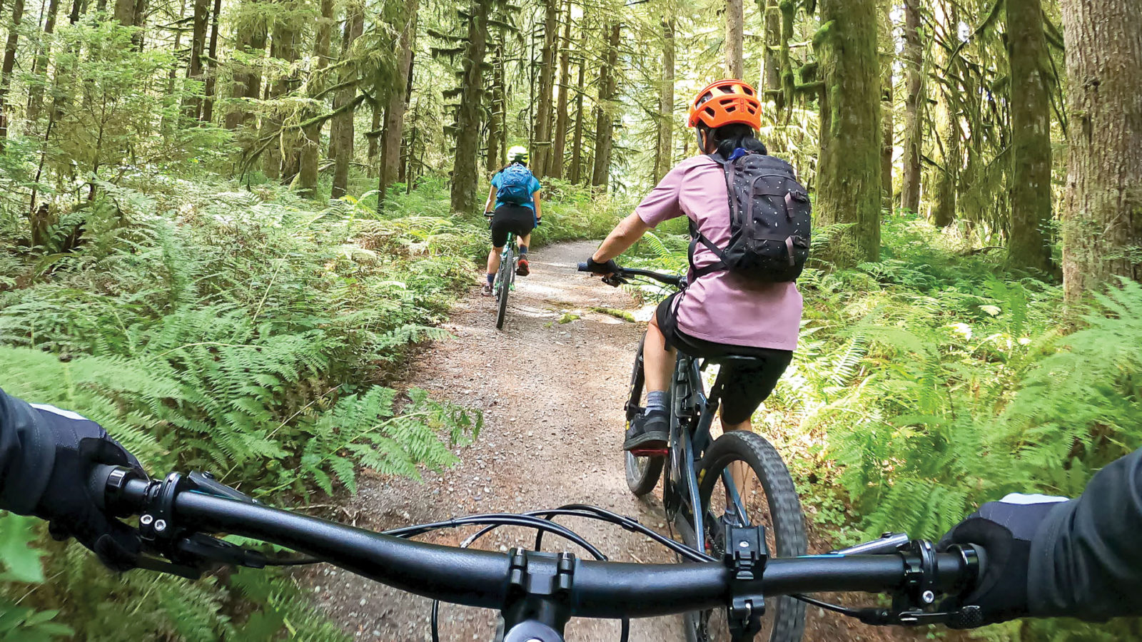 Trois personnes font du vélo dans une forêt.