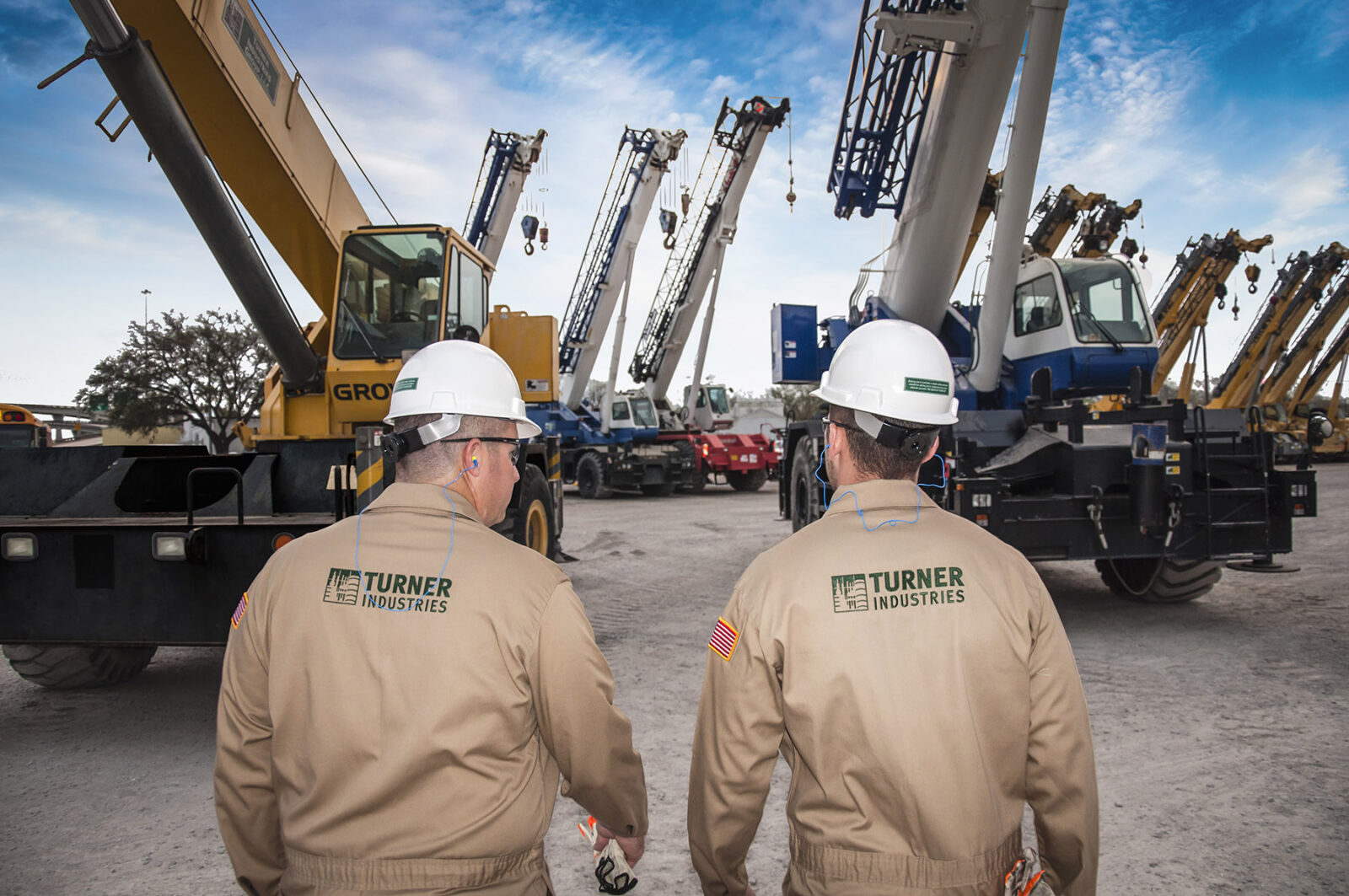 cranes_image_5